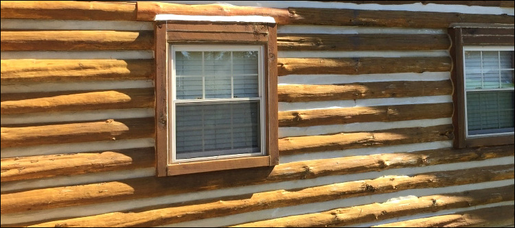 Log Home Whole Log Replacement  Buncombe County,  North Carolina